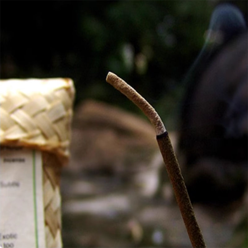 Log Plants Incense Sticks Mult - Home Fragrance Gift Box 리뷰 및 가격