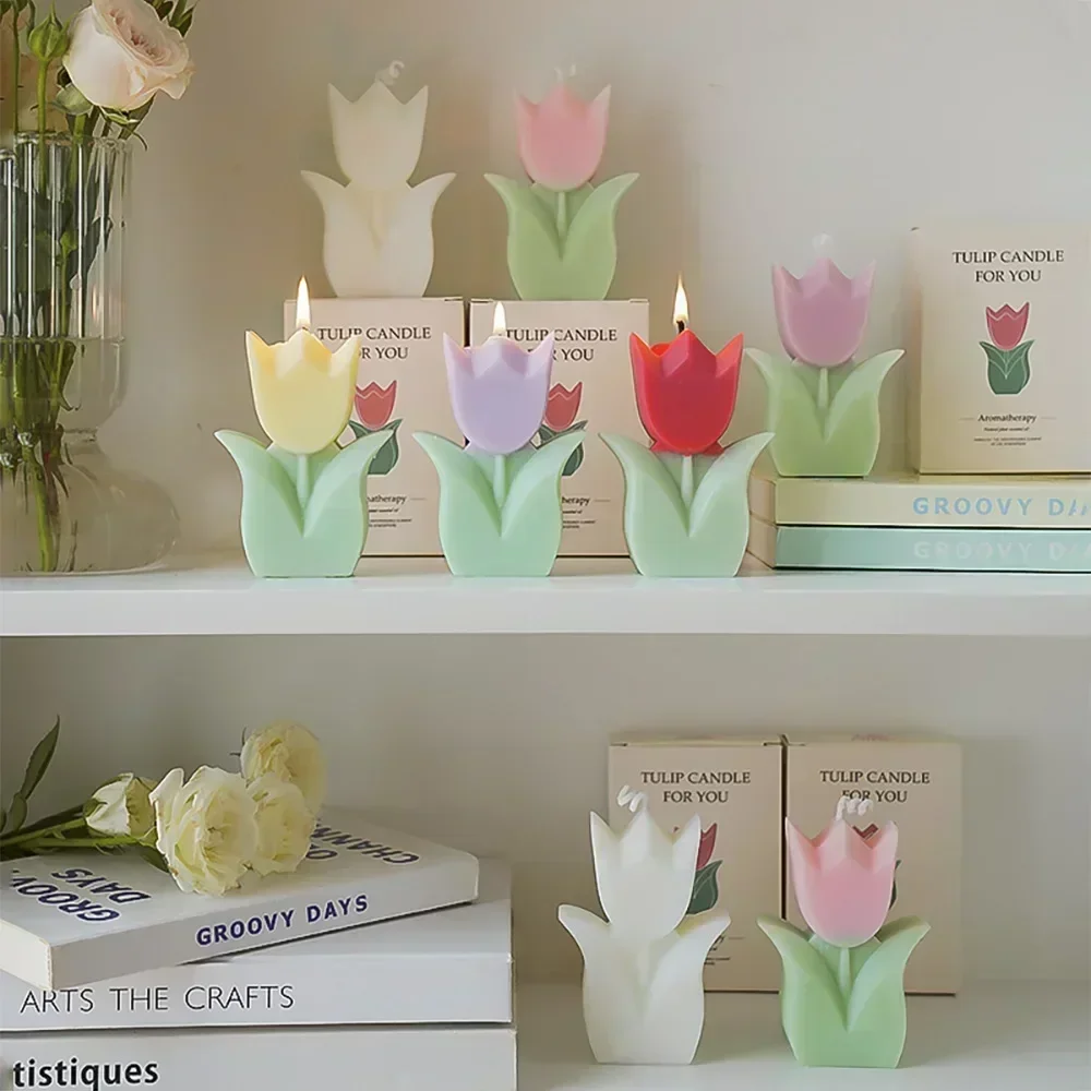 Exquisite Tulip-Fragrance Cand - Home Fragrance Wax Melts 리뷰 및 가격