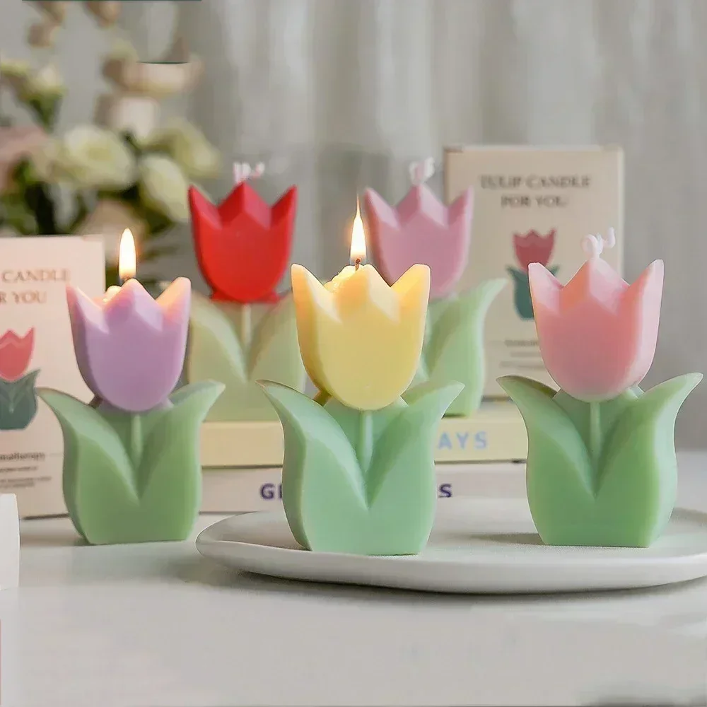 Exquisite Tulip-Fragrance Cand - Home Fragrance Wax Melts 리뷰 및 가격