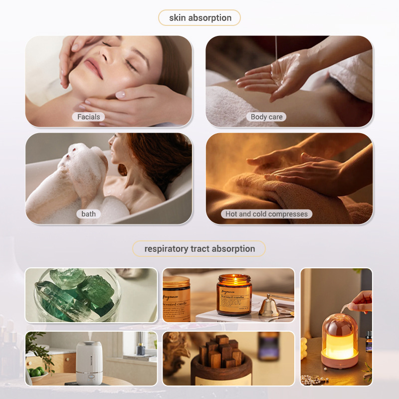 20 Flavors Essential Oils for  - Home Fragrance Gel 리뷰 및 가격
