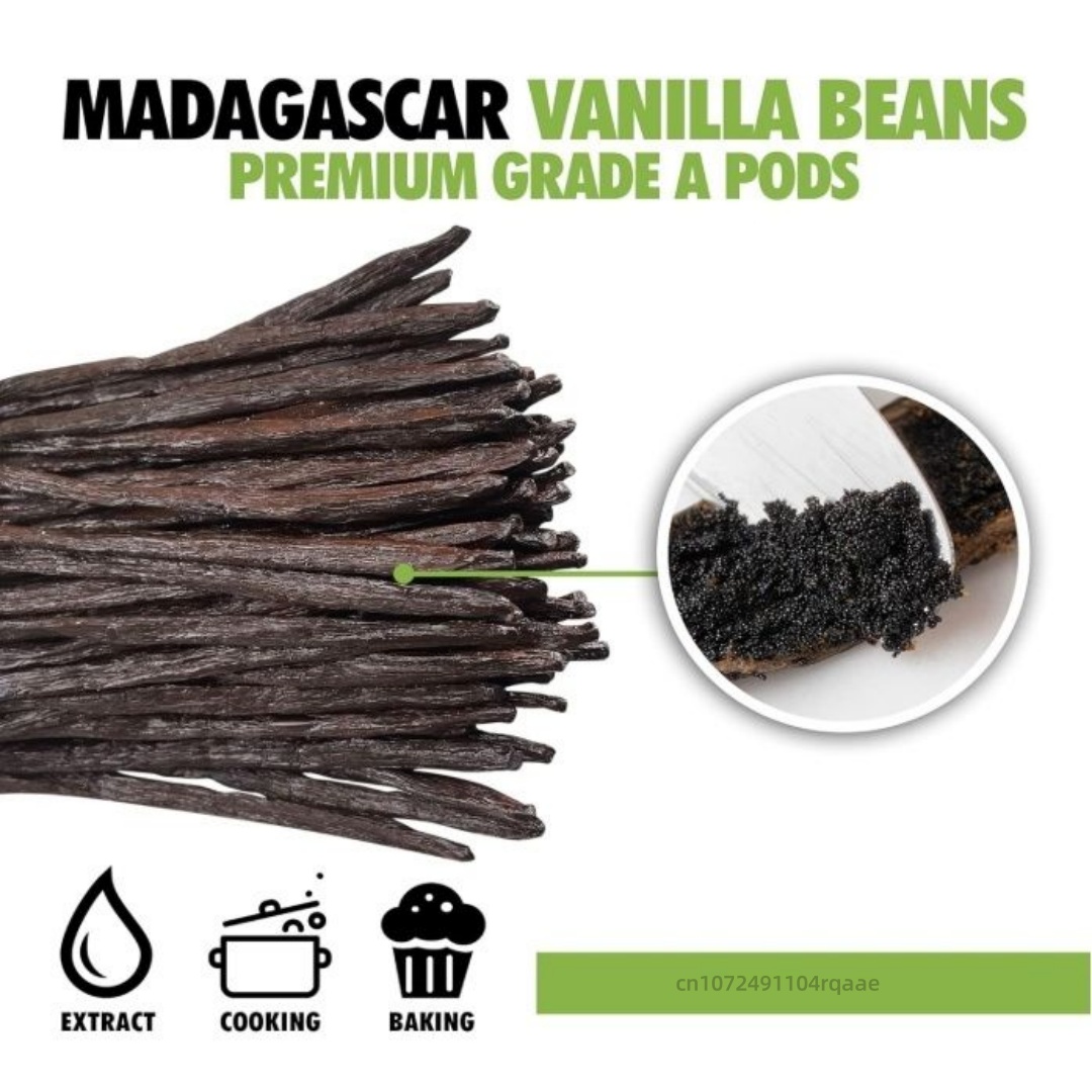 14-17cm Premium Madagascar Van - Home Fragrance Premium 리뷰 및 가격