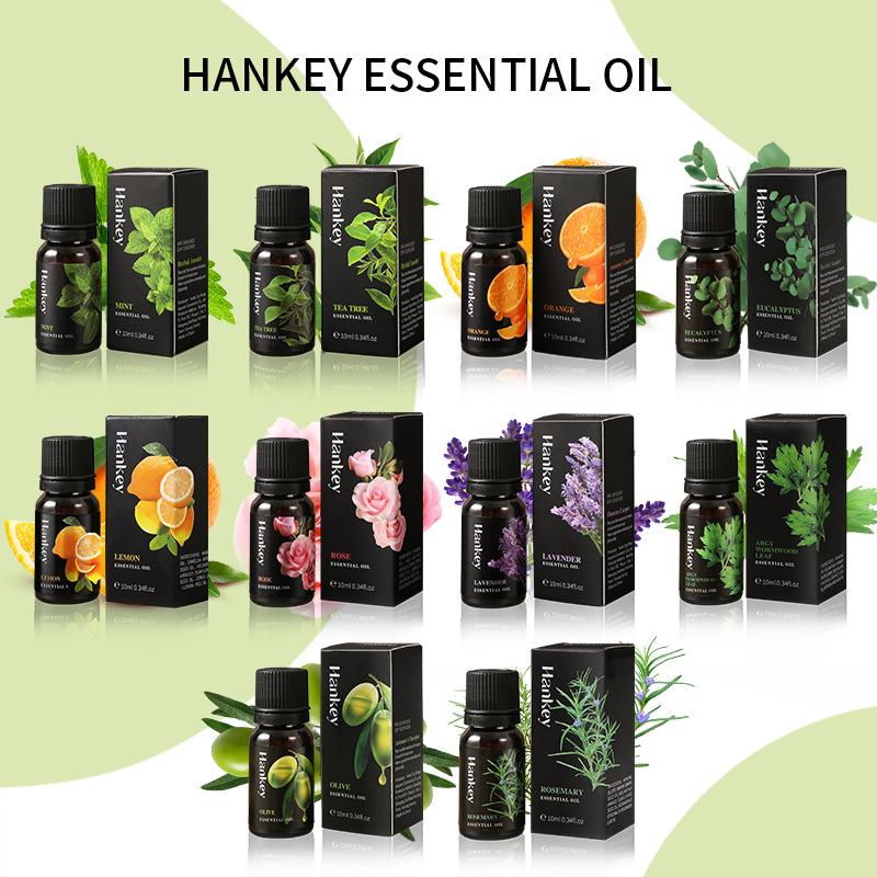 12 Flavors 10ml Essential Oils - Home Fragrance Products 리뷰 및 가격