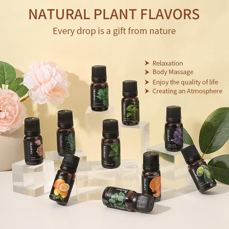 12 Flavors 10ml Essential Oils - Home Fragrance Products 리뷰 및 가격